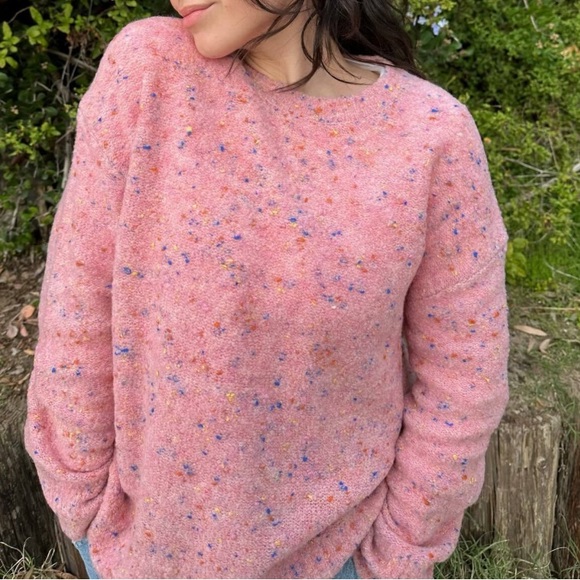 Everlane Sweaters - EVERLANE The Confetti Merino Wool Crew